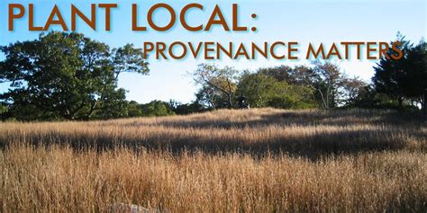 Local Plant Source 的图像结果