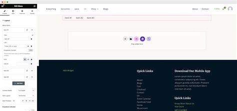 Image result for How We Create Elementor Menu