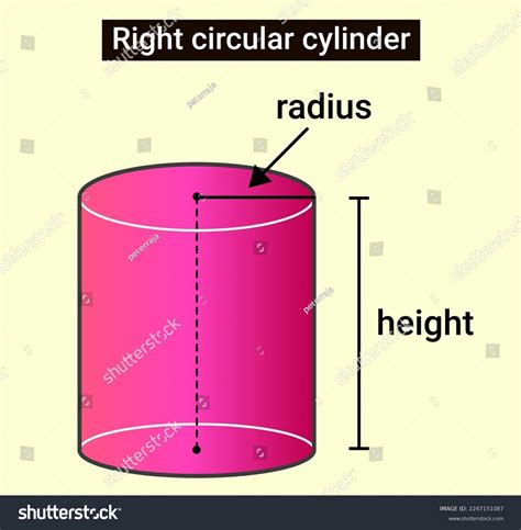 Structure Right Circular Cylinder Stock Vector (Royalty Free ...