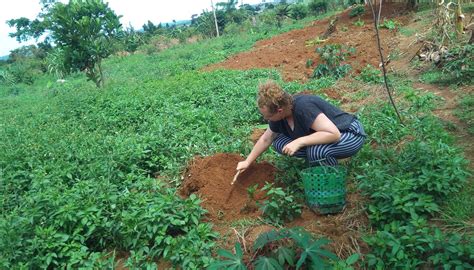 KRISLA LAKE BREEZE HOTEL (Lyamutundwe) - Hotel Reviews & Photos ...