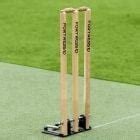 FORTRESS Spring Back Cricket Stumps | Net World Sports