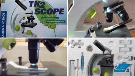 Image result for Stereo Microscope Uses