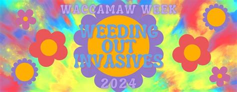 Waccamaw Week - Invasive Plant Removal on the Waccamaw, J. Todd Landing ...