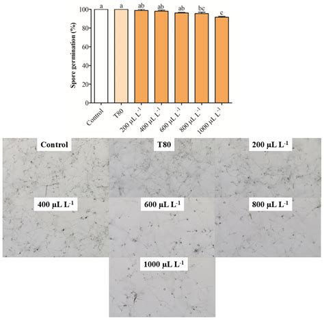 The Impact of Essential Oils Derived from Citrus Species to Control ...