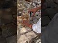Cobble Stone - Cobble Stone For Driveway Paving/Driveway Stone Pavers ...