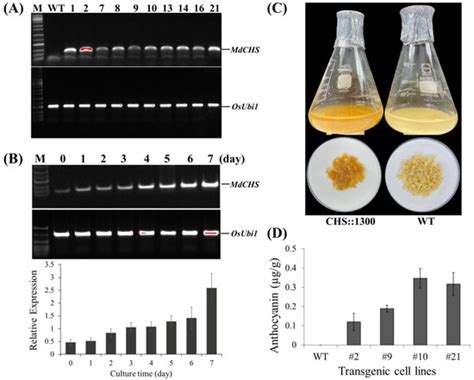 The Synergistic Effects of Environmental and Genetic Factors on the ...