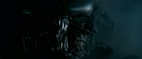 Image result for Alien Curse