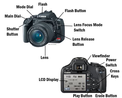 SLR-type Camera 的图像结果