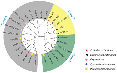 Identification and Characterization of the AREB/ABF Gene Family in ...
