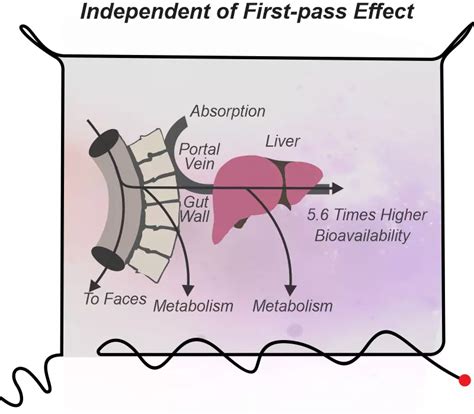Dydroboon(Dydrogesterone Tablet) Uses, Benefits, And FAQs