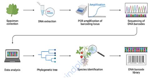 Image result for Barcoding DNA Sample