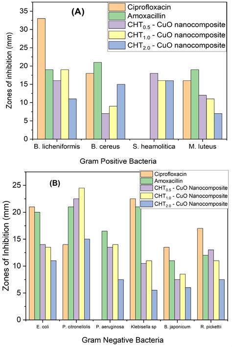 Biogenic Synthesis and Characterization of Chitosan-CuO Nanocomposite ...