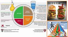 linee guida alimentazione alimentazione corretta linee guida bodybuilding linee guida alimentazione alimentazione corretta linee guida bodybuilding
