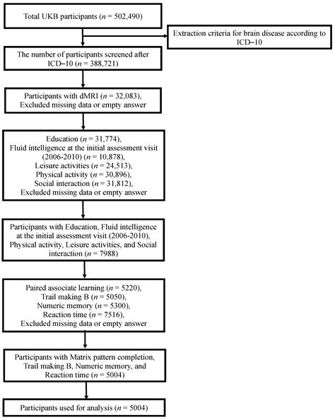 The Protective Power of Cognitive Reserve: Examining White Matter ...