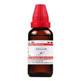 Jaborandi Homeopathy Mother Tincture | 30ml & 100ml | SBL, Schwabe ...
