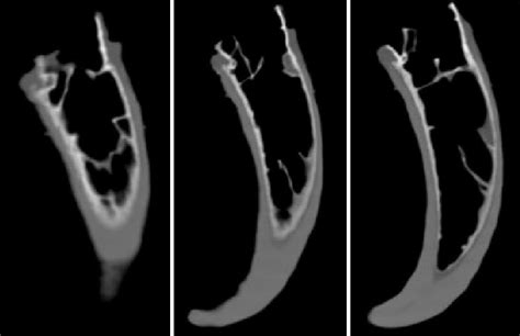 Journal of Veterinary Research Advances - JVRA