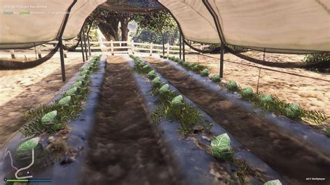 Image result for Fivem Farming Tutorial