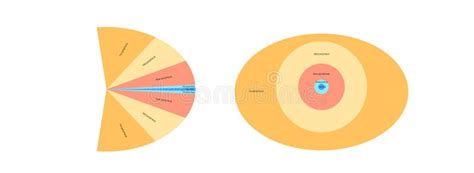 Image result for Peripheral Vision Field of View