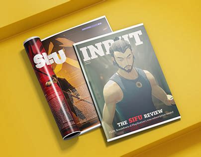 Display Input 的图像结果