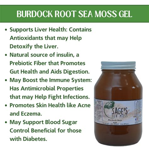 Sea Moss Gel Health Benefits – Sage's Sea Moss