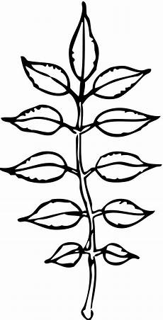 Leaf Clipart Black And White by Leaves Black And White Leaf Outline Clip Black And Leaf Clipart Black And White