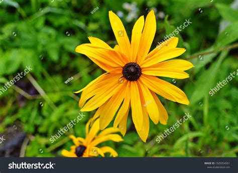 Image result for Basic Machine Learning Application Design Sample