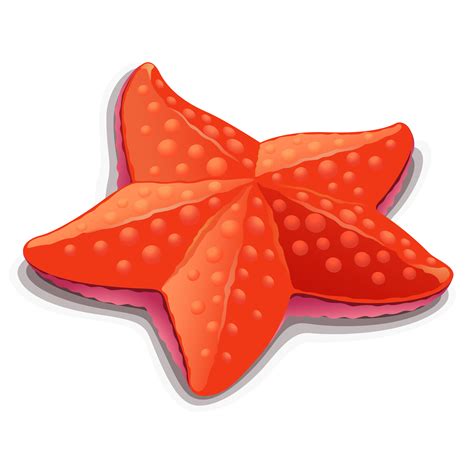 Starfish Clip Art Png