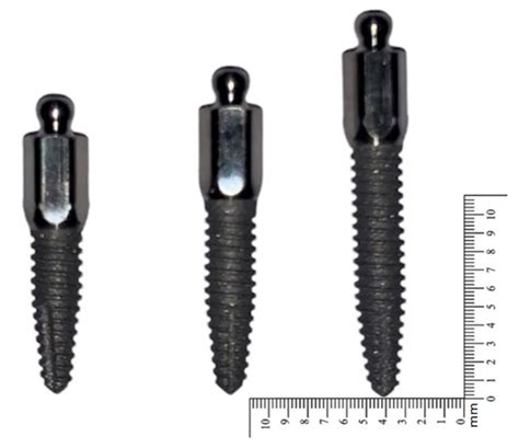 Does the Length of Mini Dental Implants Affect Their Resistance to ...