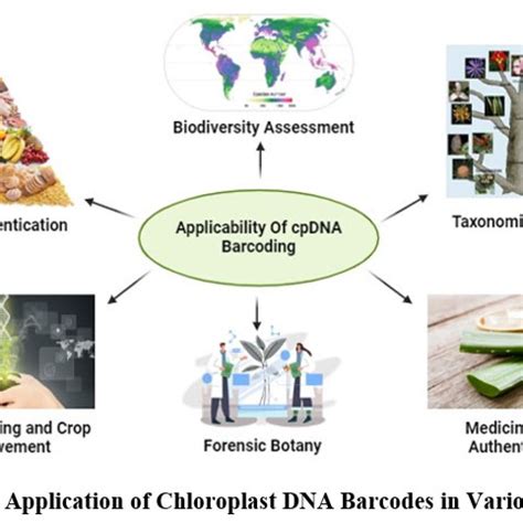 Image result for Forensic Botany DNA Barcoding