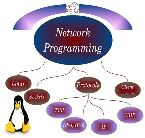 Network Socket Programming 的图像结果