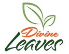 All About Stevia, Its Health Benefits and Uses | Divine Leaves - Divine ...