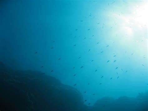 2008 Çanakkale Dive and Trip - Nereids Dive Center