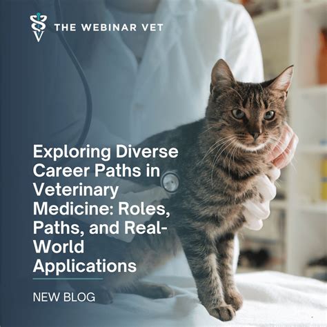 Tutorial Win Vet 的图像结果