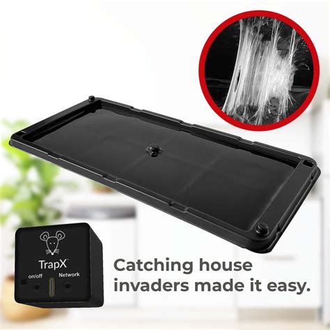 Image result for Setting Mouse Traps Tips