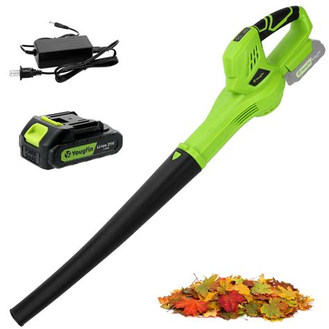 Amazon.com: YOUGFIN Leaf Blower Cordless with Battery and Charger ...