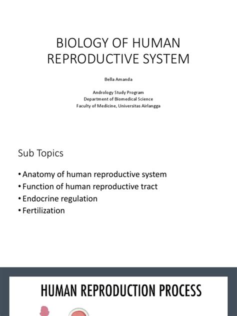 Image result for Life Science Human Reproduction System