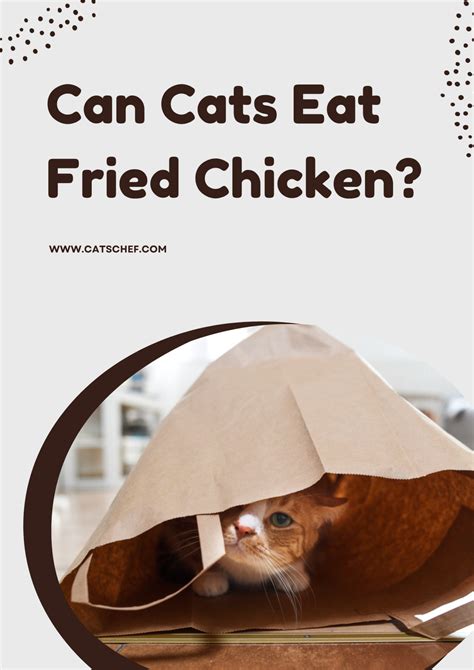 Can Cats Eat Fried Chicken? Is This Crunchy Treat Safe For Your Cat?