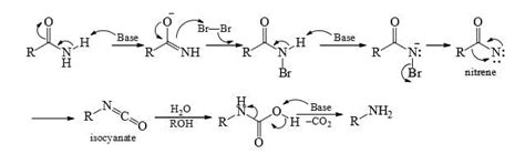 Nitrenes and Carbenes: Stability and Reactions - Organic Chemistry PDF ...