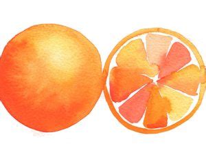 Image result for Oranges Tutorial Painting