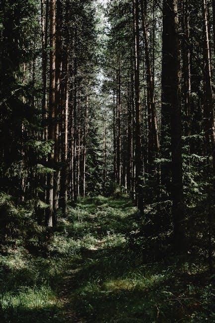 Image result for Prot Pally Leveling Guide