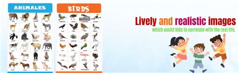 English Chart for Kids 47x65 cm (19x26 Inch) Mega Size ( 6 Charts ...