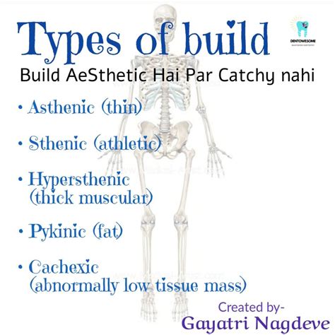 Mnemonic on Types of Build – Dentowesome
