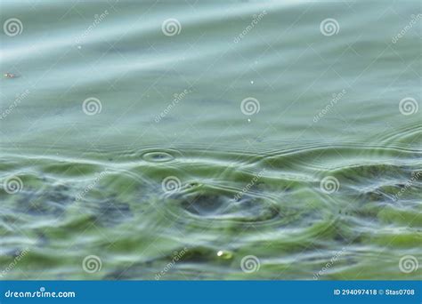 Water Splash after Black Oar in Green River Water Closeup Stock Photo ...