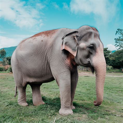 What Is Ivory White? Understanding Its Timeless Charm - Fabulaous Boobies