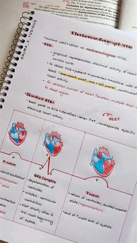 Electrocardiograph-Body fluids and circulation NCERT class11 notes ...
