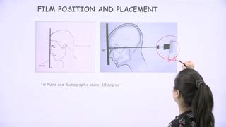 Ace Achievers Dental Academy