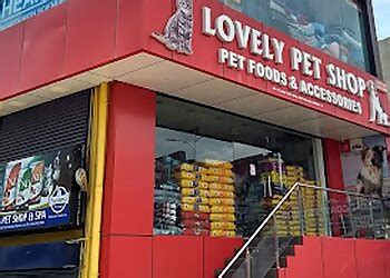 3 Best Pet Shops in Chennai, TN - Expert Recommendations