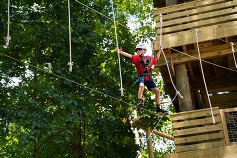 Flying Rabbit Adventures | Aerial Adventure Park | Book Now!