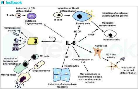 Survival of intracellular pathogens depends on the levels of pro ...