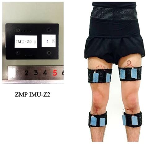 A Novel Classification of Coronal Plane Knee Joint Instability Using ...